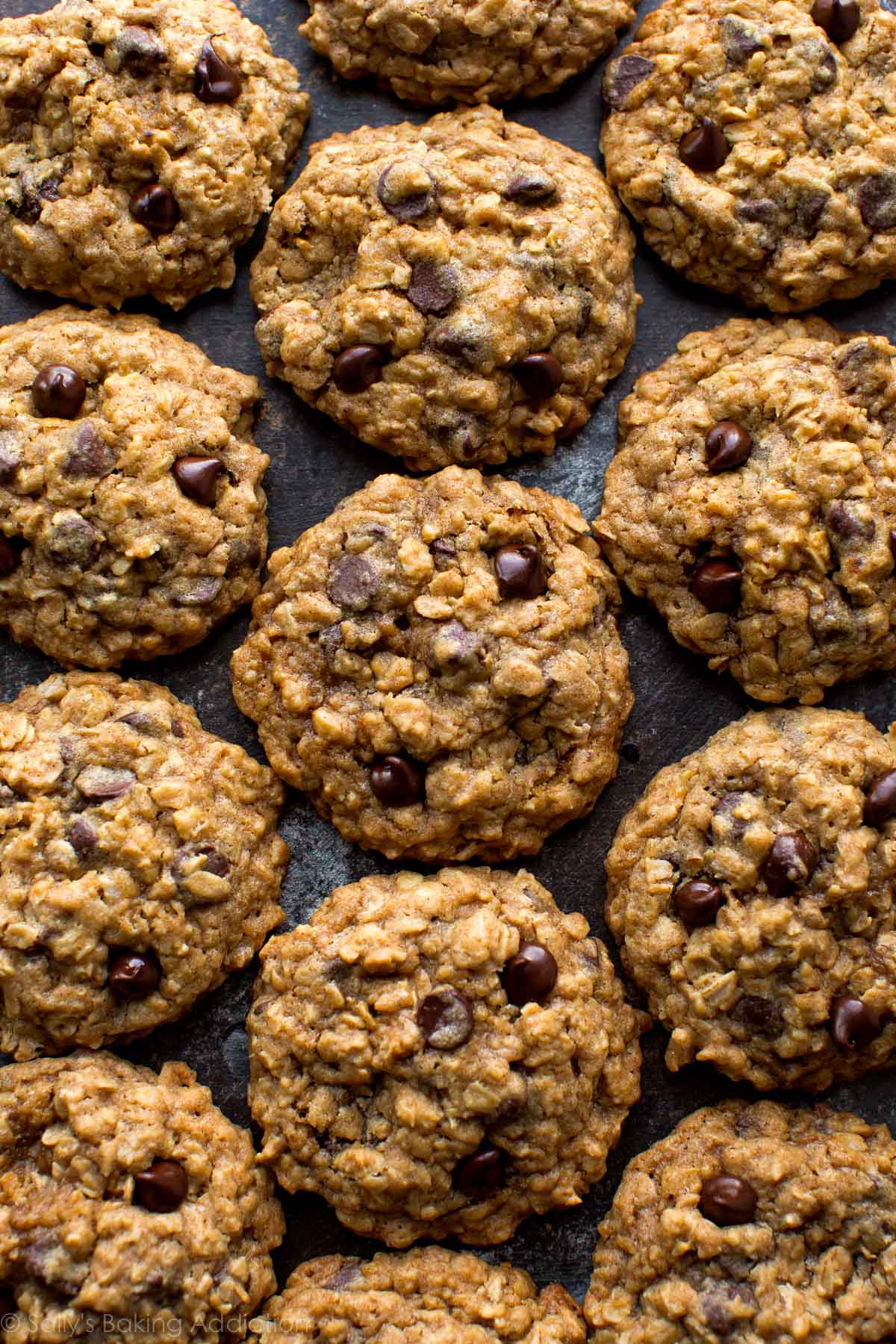 oat cookies with chocolate drops in a pan